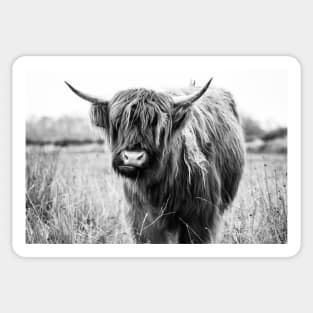 Highland Cow Landscape, Black and White Sticker